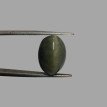 Quartz Cat's Eye - 9.59 ct.@100 per. ct.(Economy)
