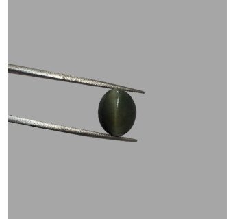 Quartz Cat's Eye - 6.35 ct.@100 per. ct.(Economy)