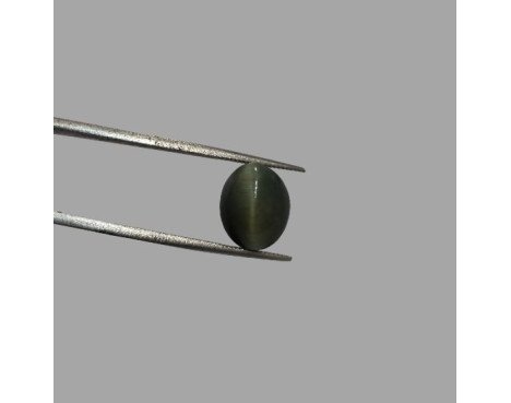 Quartz Cat's Eye - 6.35 ct.@100 per. ct.(Economy)