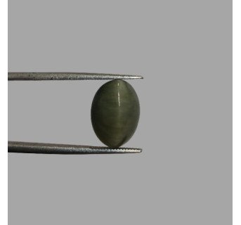 Quartz Cat's Eye - 7.84 ct.@100 per. ct.(Economy)