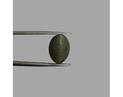 Quartz Cat's Eye - 7.84 ct.@100 per. ct.(Economy)