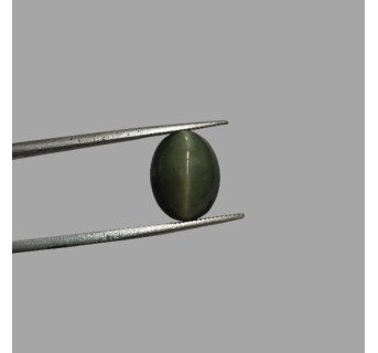 Quartz Cat's Eye - 6.83 ct.@100 per. ct.(Economy)