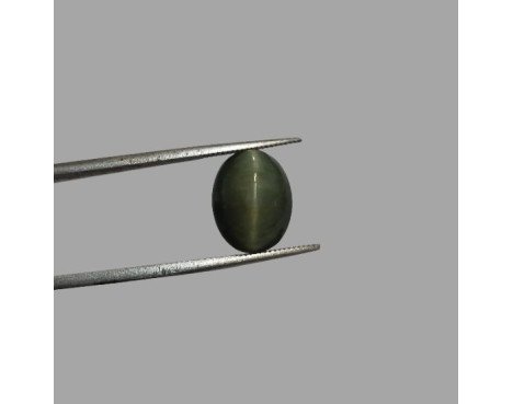 Quartz Cat's Eye - 6.83 ct.@100 per. ct.(Economy)