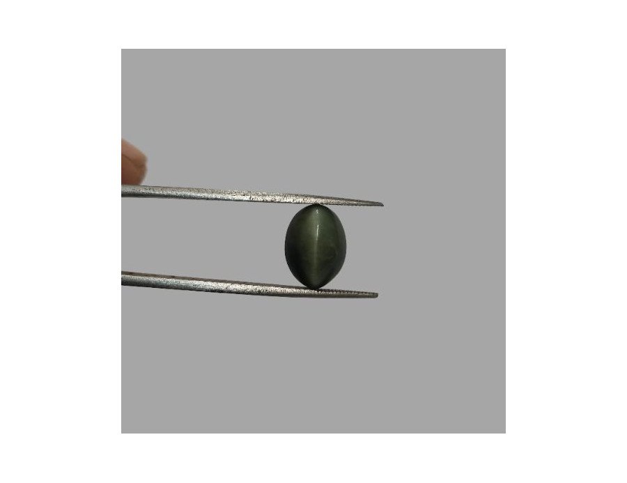 Quartz Cat's Eye - 6.65 ct.@100 per. ct.(Economy)