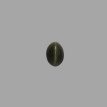 Quartz Cat's Eye - 8.89 ct.@100 per. ct.(Economy) Quartz Cat's Eye - 8.89 ct.@100 per. ct.(Economy)