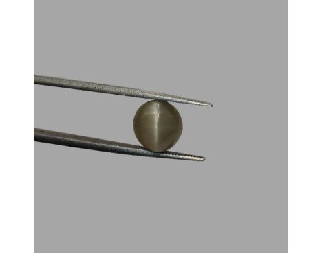 Cat's Eye 6.02ct.@400 per. ct. (Premium)