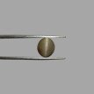 Cat's Eye 5.92ct.@400 per. ct. (Premium) Cat's Eye 5.92ct.@400 per. ct. (Premium)