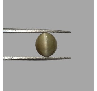 Cat's Eye 5.17ct.