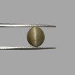 Cat's Eye 5.17ct.@400 per. ct. (Premium)