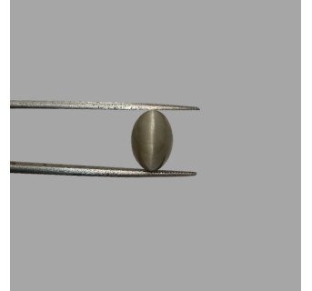 Cat's Eye 6.06ct.@400 per. ct. (Premium)