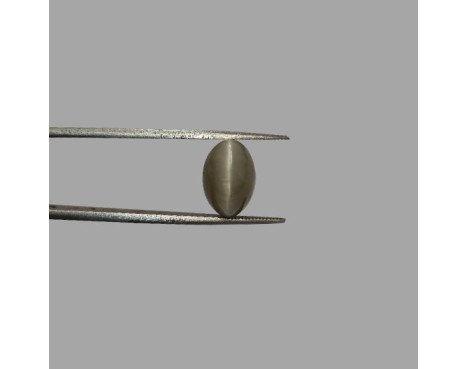 Cat's Eye 6.06ct.@400 per. ct. (Premium)