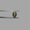 Cat's Eye 6.06ct.@400 per. ct. (Premium) Cat's Eye 6.06ct.@400 per. ct. (Premium)