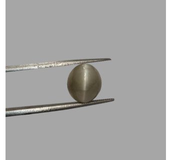 Cat's Eye 5.63ct.@400 per. ct. (Premium)