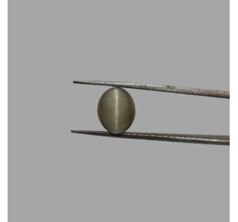 Cat's Eye 6.11ct.@400 per. ct. (Premium)