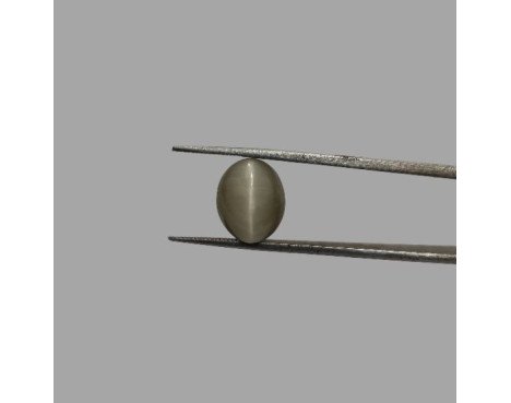 Cat's Eye 6.11ct.@400 per. ct. (Premium)