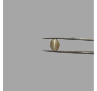 Cat's Eye 4.56ct.@400 per. ct. (Premium)