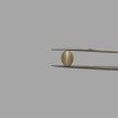 Cat's Eye 4.56ct.@400 per. ct. (Premium)