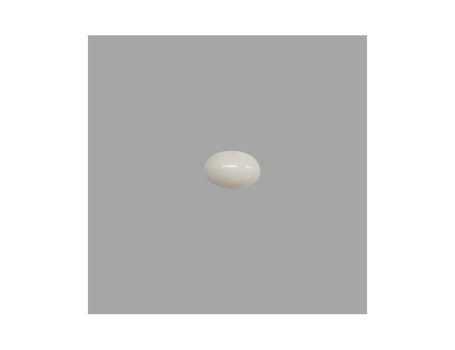 White Coral (Safed Moonga) 6.87ct.@350 per. ct. (Luxury) White Coral (Safed Moonga) 6.87ct.@350 per. ct. (Luxury)