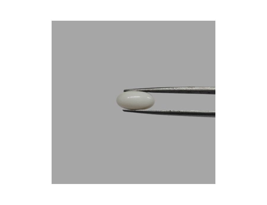 White Coral (Safed Moonga) 6.05ct.@350 per. ct. (Luxury)