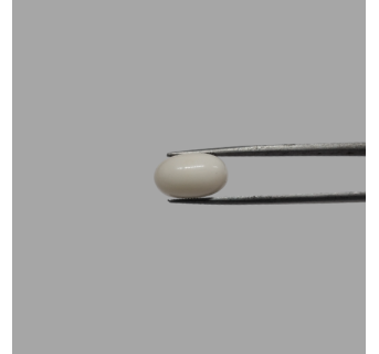 White Coral (Safed Moonga) 10.77ct.