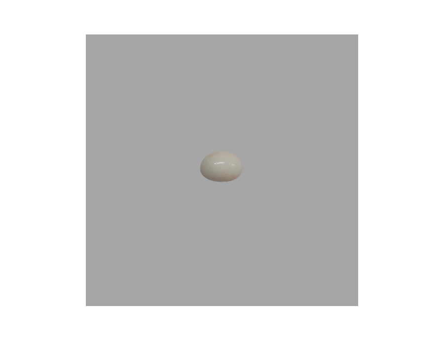 White Coral (Safed Moonga) 8.90ct.@350 per. ct. (Luxury) White Coral (Safed Moonga) 8.90ct.@350 per. ct. (Luxury)