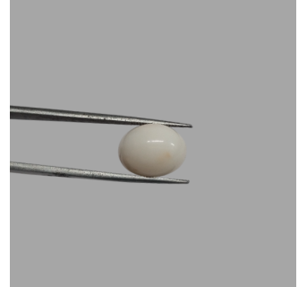 White Coral (Safed Moonga) 8.90ct.