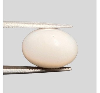 White Coral (Safed Moonga) 6.83ct.