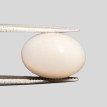 White Coral (Safed Moonga) 6.83ct.@100 per. ct. (Luxury) White Coral (Safed Moonga) 6.83ct.@100 per. ct. (Luxury)