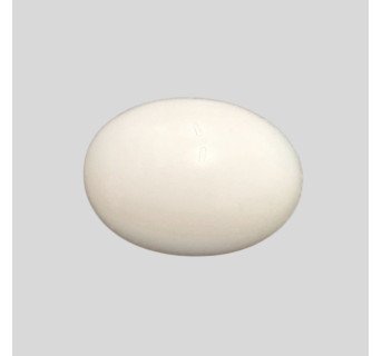 White Coral (Safed Moonga) 6.83ct.@100 per. ct. (Luxury)