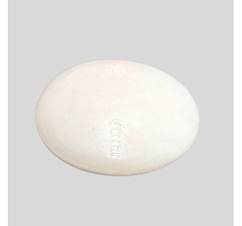 White Coral (Safed Moonga) 6.83ct.