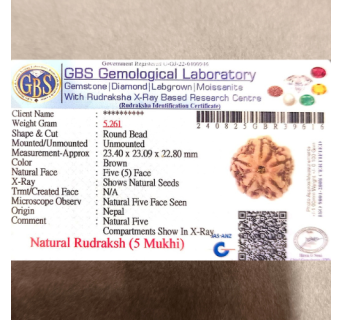 5 Mukhi Rudraksha
