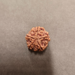 5 Mukhi Rudraksha - 5.136 g.