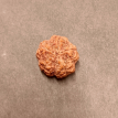 5 Mukhi Rudraksha - 5.007 g.