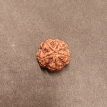 5 Mukhi Rudraksha - 5.007 g.