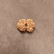 9 Mukhi Rudraksha - 3.260  g.