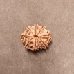 9 Mukhi Rudraksha - 3.592 g.