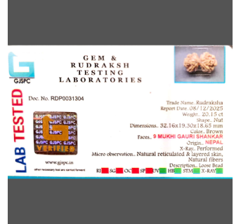 Gauri Shankar Rudraksha