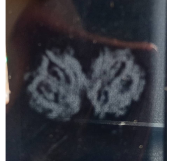 Gauri Shankar Rudraksha