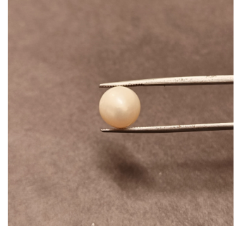 South-Sea Pearl 7.54ct.