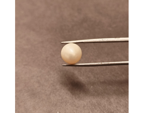 South-Sea Pearl 7.54ct.@400 per. ct. (Premium)