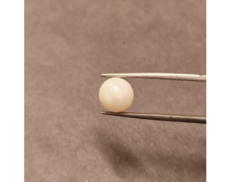 South-Sea Pearl 5.62ct.@400 per. ct. (Premium)