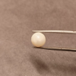 South-Sea Pearl 5.62ct.@400 per. ct. (Premium)