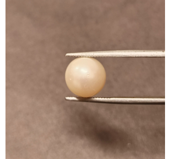 South-Sea Pearl 6.28ct.