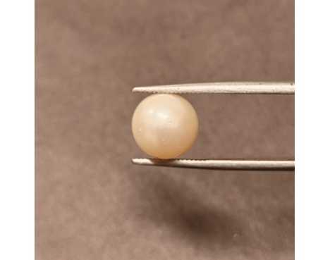 South-Sea Pearl 6.28ct.@400 per. ct. (Premium)