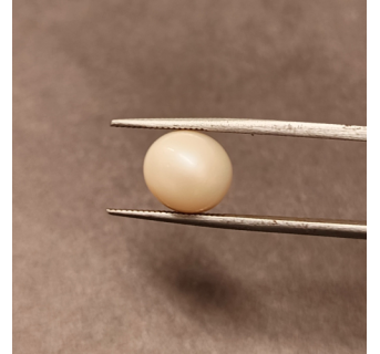 South-Sea Pearl 6.35ct.