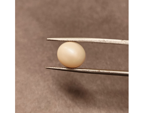South-Sea Pearl 6.35ct.@400 per. ct. (Premium)