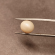 South-Sea Pearl 6.35ct.@400 per. ct. (Premium)