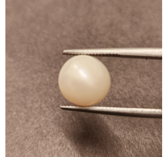 South-Sea Pearl 6.68ct.