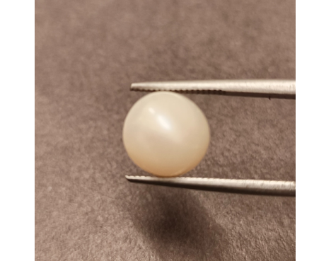 South-Sea Pearl 6.68ct.@400 per. ct. (Premium)
