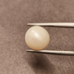 South-Sea Pearl 6.68ct.@400 per. ct. (Premium)